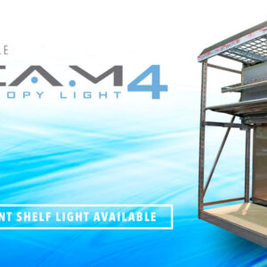 Beam LED Canopy Light Gen4