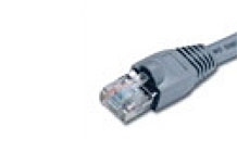 LLC5C-(NL)-LEDge Light Cat 5 Cable