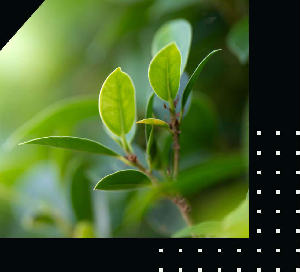 Sustainable manufacturing for American-made shelving